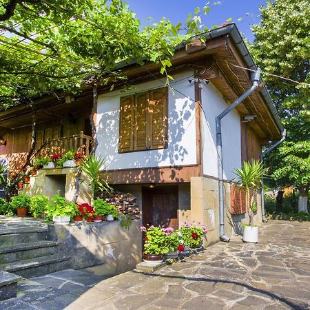 Хаджикольовата Къща Villa Medven Exteriör bild