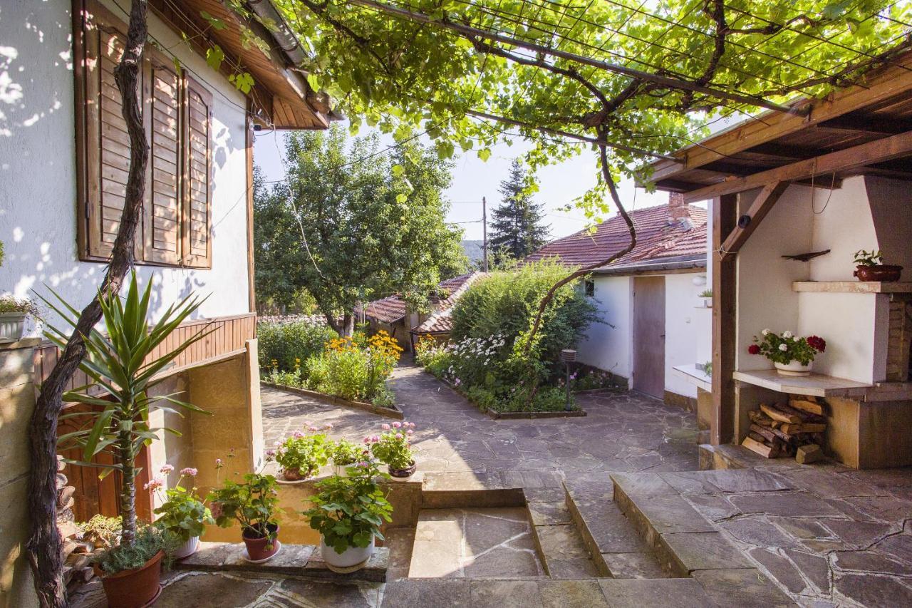 Хаджикольовата Къща Villa Medven Exteriör bild