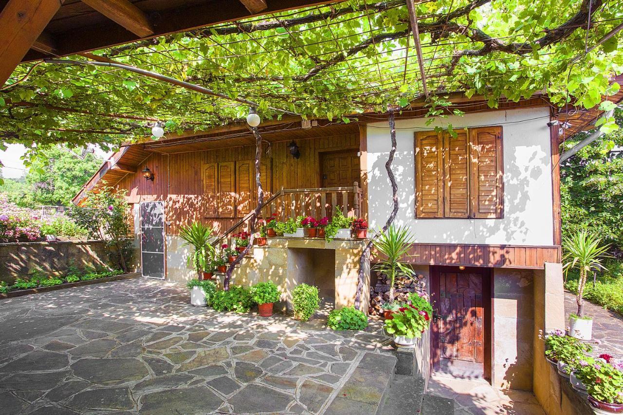 Хаджикольовата Къща Villa Medven Exteriör bild